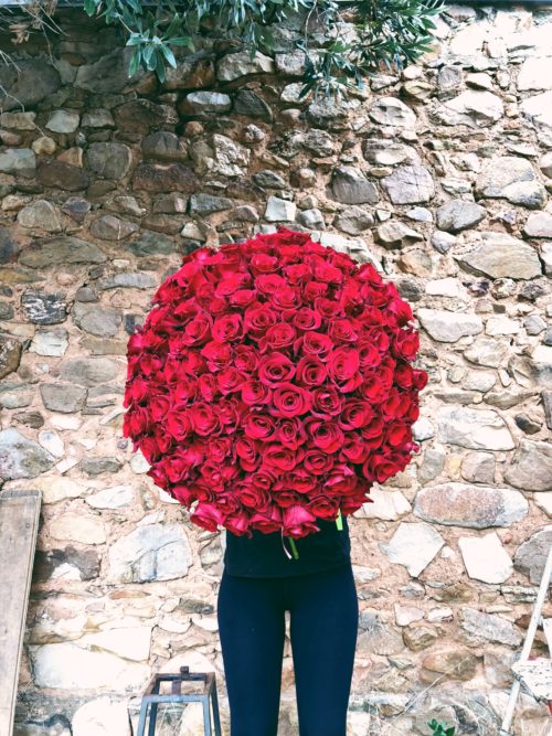 100 Red Rose Dream