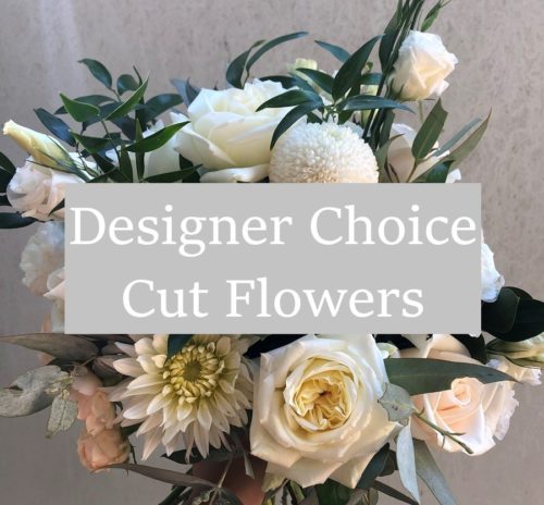 Designer Choice Cut Flowers
