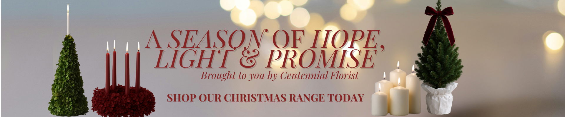 Christmas Header 2025